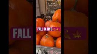 Loving the fall in NYC🍂 #fallinnyc #autumninnyc #october2024 #shorts  #leaveschange #newyorkcity