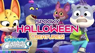 ​ @CreatureCases - 🐍Learn About These SCARY Animals!🦇 | Creature Cases | 🎃 Halloween Special! 👻
