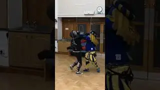 this is not allowed in HEMA&hellip; his buhurt instincts kicked in lmao #hema #longsword #martialart