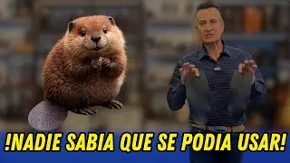 NO TODOS SABIAN ESTO I EL LUJO DE LO EXOTICO I