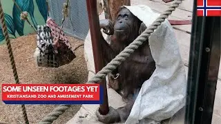 UNSEEN FOOTAGES AND *MORE VIDEOS* Of The Animals At Kristiansand Zoo And Amusement Park/Norway Vlog