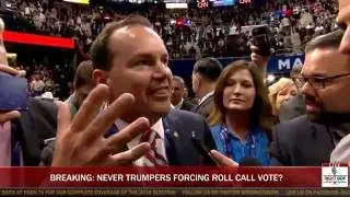 CHAOS ON CONVENTION FLOOR: NEVER TRUMPERS DEMAND ROLL CALL VOTE AT RNC