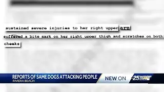 Riviera Beach woman arrested after dogs attack three people