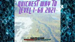 In Depth Fast Leveling And Experience Guide 1-60 Citadel Forged with Fire