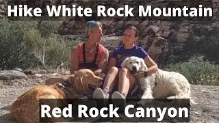 Hiking White Rock Mountain Loop | Rock Rock Canyon, Las Vegas | Not Dog Friendly