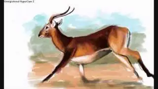 Antelope speedpaint [GIMP]