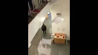 egg drop challenge - prototypes testing