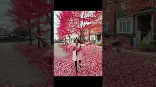 Fall Photo Suggestions! #fall #fallpose #canada #toronto #montreal #vancouver #fallbeauty #fallphoto
