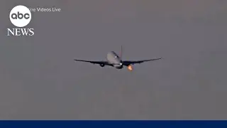 Seattle-bound Delta flight makes emergency landing after bird strike during takeoff