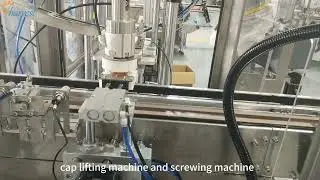 Single Head Servo Grabbing and Rotating Machine: Paired with Cap Sorting Lifting Machine