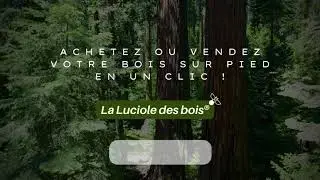 🎬 La Luciole des Bois&reg; en action !
