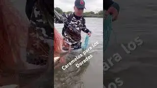 Lista la carnada!!!