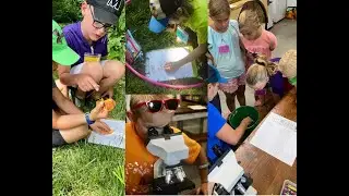 Elementary Education STEM Certificate