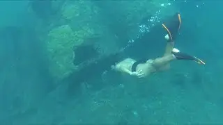 Mergulho livre Naufrágios Farol da Barra Salvador Bahia