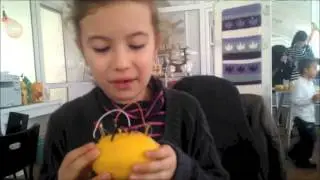 hackidemia sofia