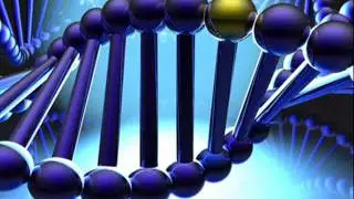 genetics and crime 1