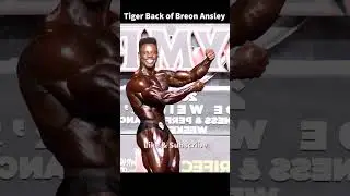 Breon Ansley's Tiger Back 👀👀😱#shorts #breonansley