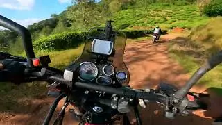 Samse Tea Estate Adventure Trails | Baami Konda viewpoint | Kudremukha | Apoorva Coffee Works Samse
