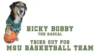 Ricky Bobby AKC Tricks Submission 2