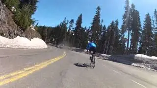 Cycling Paradise to Longmire Mount Rainier