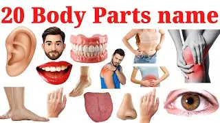20 शरीर के अंगों के नाम सीखें | 20 Body Parts Names In English for Kids Vocabulary Learning 