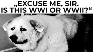 DAILY DOSE OF MEMES 576