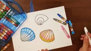How to draw seashell Art for kids and senior