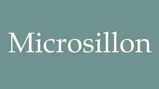How to Pronounce ''Microsillon'' (LP) Correctly in French