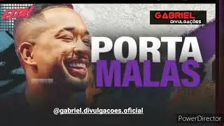 toquedez - mala dos porta malas