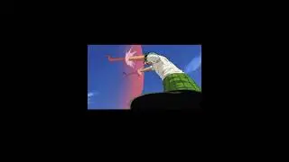 True right hand man for Luffy