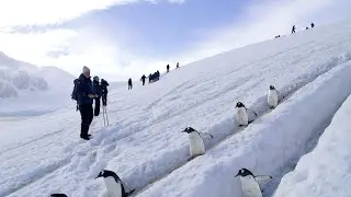 Antarctica, Discovery and Learning Voyage with The Polar Travel Company