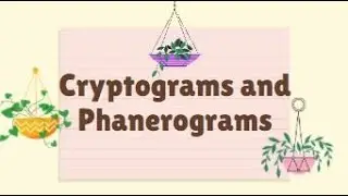 Cryptograms and Phanerograms