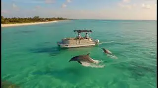 Shell Island Tours Panama City Beach - Top-Rated Experience when Visiting PCB