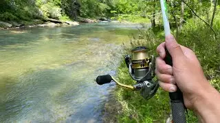 Fishing SUPER Clear Rivers in North Georgia