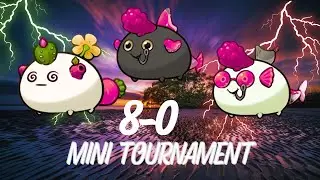 Axie Classic  Budget Team | Mini Tournament 