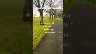 Long weekend park walk