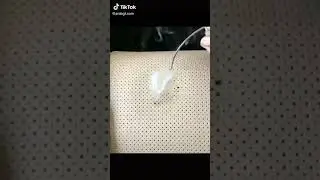 Repair Leather Car Seat