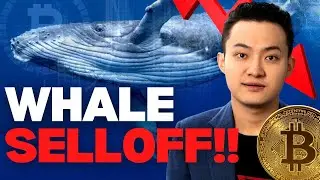 Crypto Whales DUMPING BITCOIN?! TRON TRX News - Market Update