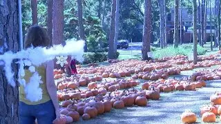 Faith Presbyterian Church gives back to community with pumpkin patch