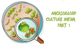 Culture Media in Microbiology | Types and Preparation | Microbiology Lecture