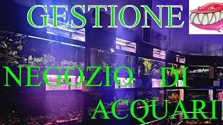 La gestione di un negozio di acquari by Tropicalmania