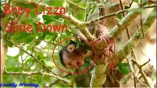 S0 Scared Falling Down From The Tree Coz Baby Lizza Cry Fear | Respect Mom Lizzy Is The Best Teacher