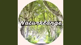 Die Allmutter Natur