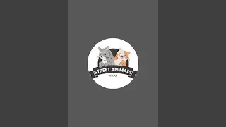 Street Animals Vlog kanalı canlı yayında
