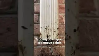 Tapping downspout to remove debris #guttercleaning