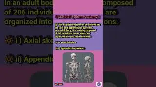 Human Skeleton System l Skeleton System l Bone l Biology l CBSE & ICSE l Class: 5 To 10 l SHORT l