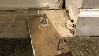 Comprehensive Mold Inspection & Testing Services in Brooklyn, Manhattan & Long Island