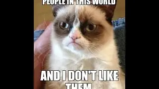 Grumpy Cat Meme