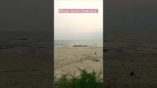 Bhogwe Beach, Sindhudurg... #bhogwe #malvan #devbag #sindhudurg #kokantourism #travel #beach