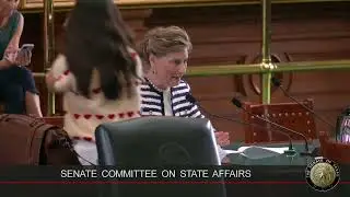 Texas Senate State Affairs Committee Hearing - May 15, 2025 Part 1